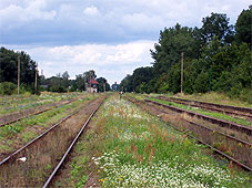 min 276 4.jpg min 276 4.jpg